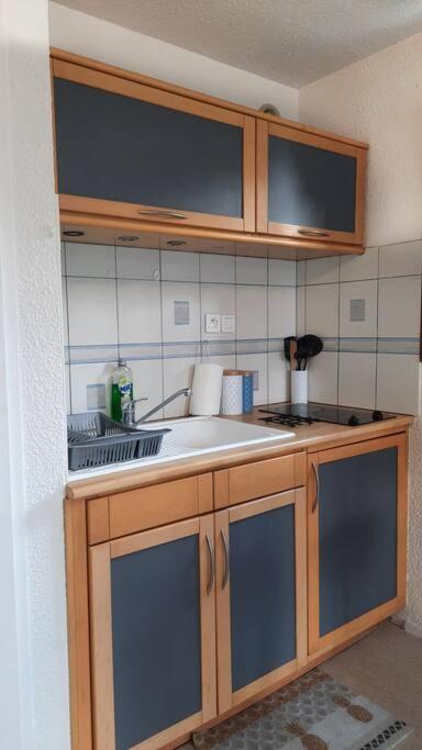Super Appartement Cocooning Vu Mont Blanc Sallanches Eksteriør bilde