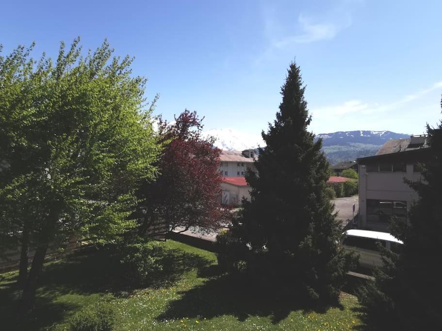 Super Appartement Cocooning Vu Mont Blanc Sallanches Eksteriør bilde