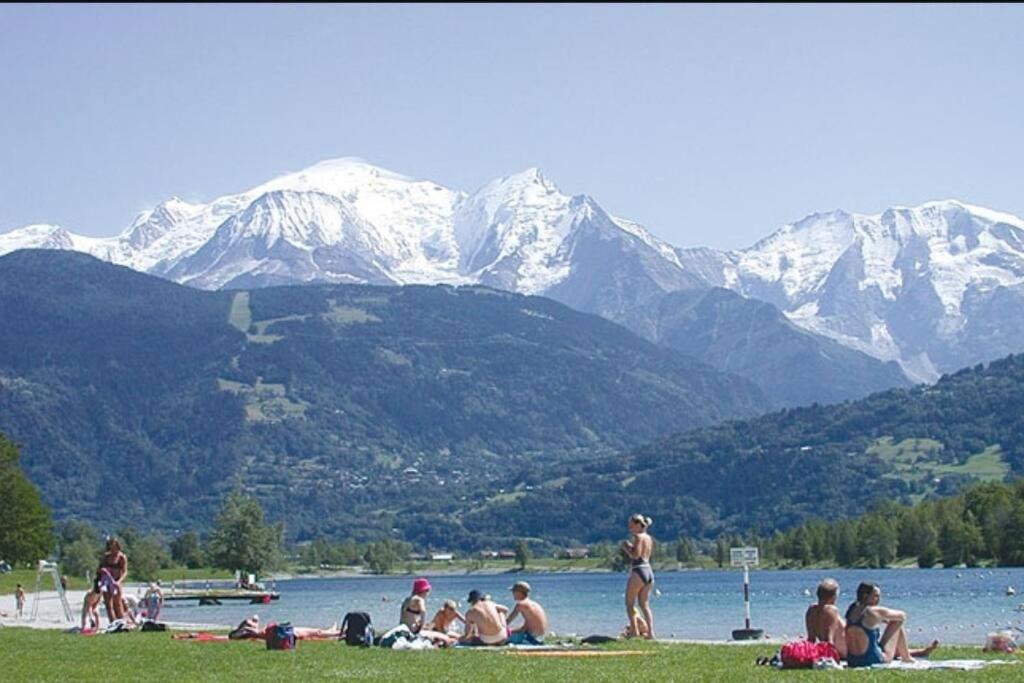 Super Appartement Cocooning Vu Mont Blanc Sallanches Eksteriør bilde