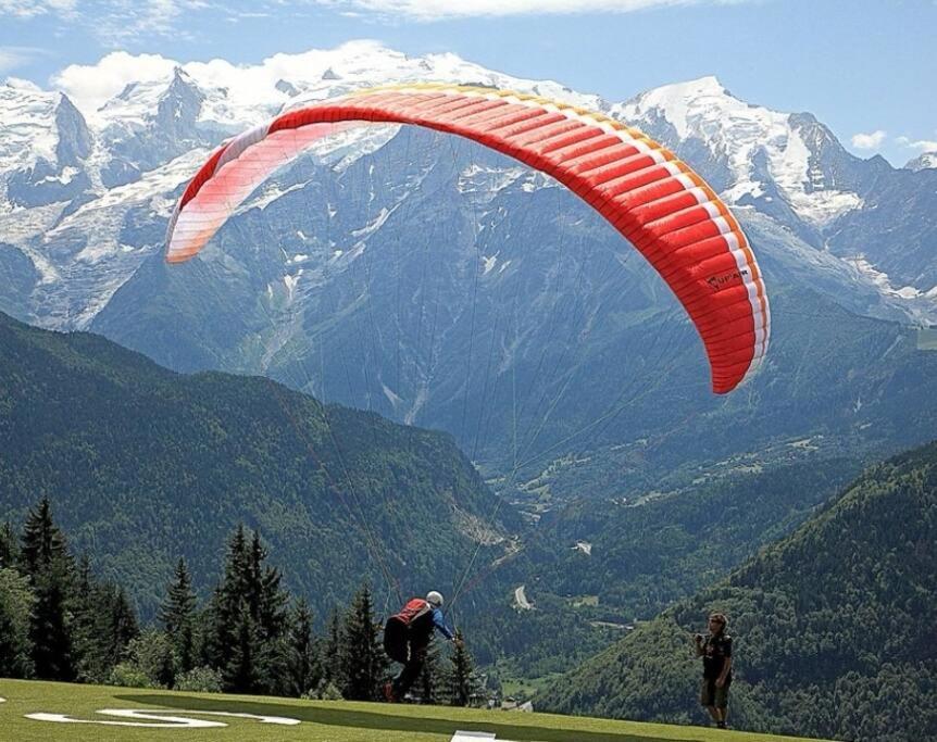 Super Appartement Cocooning Vu Mont Blanc Sallanches Eksteriør bilde